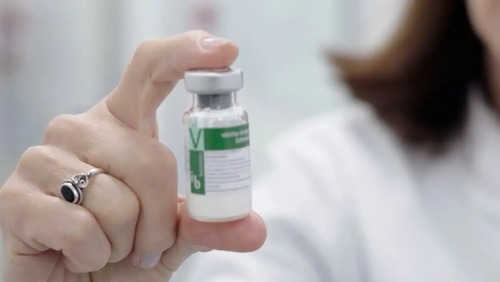 Anvisa publica registro da vacina contra a dengue do Butantan