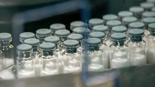 Vacina contra a dengue do Butantan começa a ser aplicada em janeiro