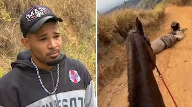 Tutor que cortou 4 patas de cavalo é condenado a 11 meses de prisão