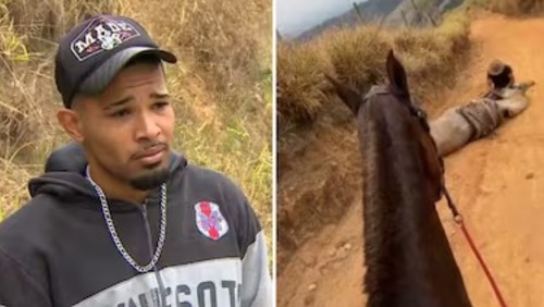 Tutor que cortou 4 patas de cavalo é condenado a 11 meses de prisão