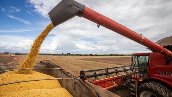 Previsão de crescimento do PIB de 2025 sobe para 2,5%, puxado pelo agro