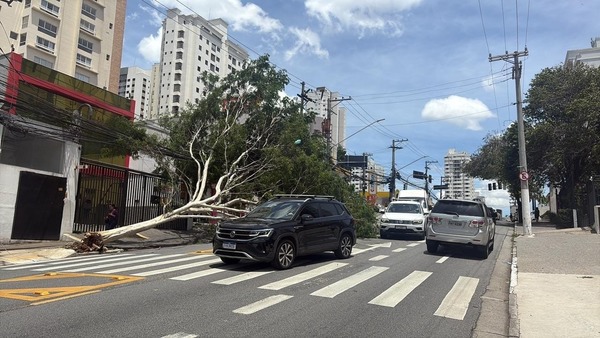 Diretor da Enel não estipula prazo para retorno total da energia em SP