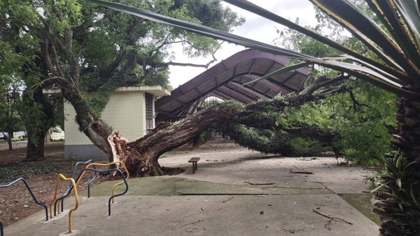 Defesa Civil prevê melhora em SP, mas mantém alerta para ventos no interior