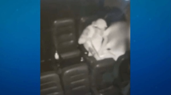Jovem grávida é agredida pelo companheiro dentro de cinema em MG