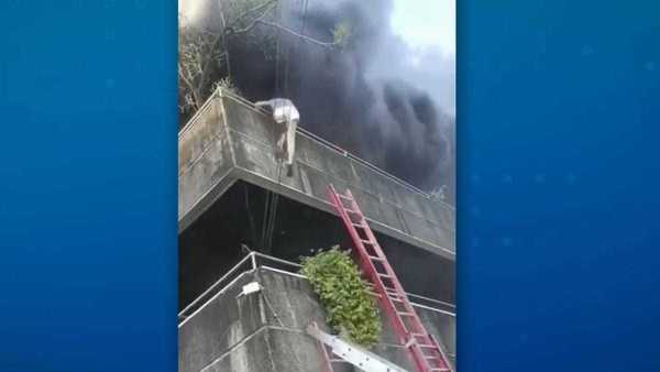 Vídeo: Mulher salva cães de incêndio em apartamento nas Filipinas