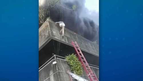 Vídeo: Mulher salva cães de incêndio em apartamento nas Filipinas