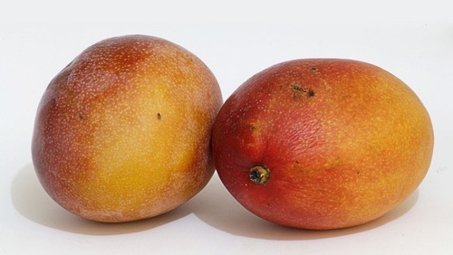 Apesar do tarifaço, exportações de manga aumentam 16% para os EUA