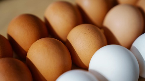 Brasil bate recorde histórico na produção e consumo de ovos em 2025