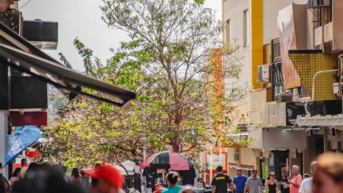 O que abre e fecha em Ribeirão Preto no Natal e Ano Novo