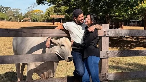 Do romance ao término: relembre a trajetória de Ana Castela e Zé Felipe