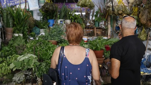 Tradição e fé impulsionam busca por banhos e ervas no fim de ano