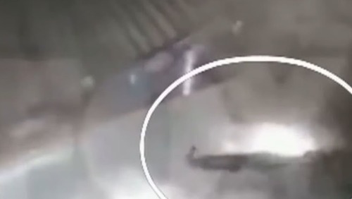 Vídeo: mulher bêbada é ejetada de carro e cai em piscina nos EUA