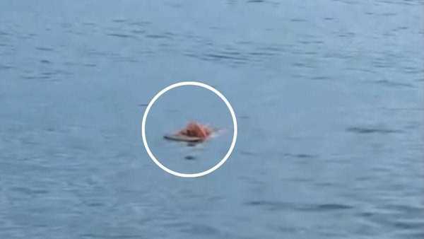 Porta de geladeira salva pescador após quase 20 horas à deriva no mar
