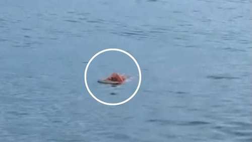 Porta de geladeira salva pescador após quase 20 horas à deriva no mar