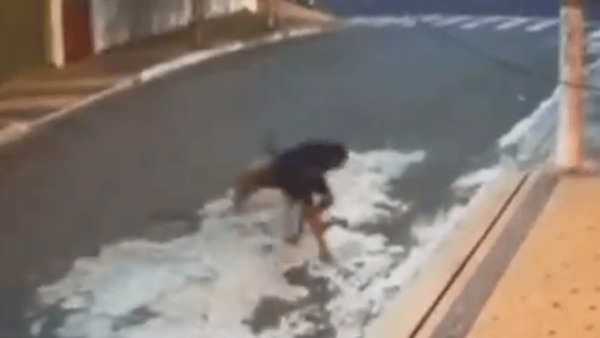 Criança sofre ataque de pit bulls e perde parte do couro cabeludo