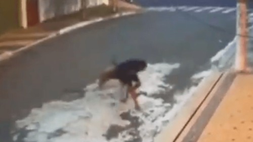 Criança sofre ataque de pit bulls e perde parte do couro cabeludo