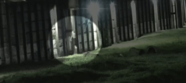 VÍDEO: Tentativa de fuga em presídio no Rio fracassa após ação policial