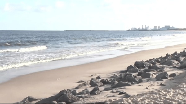 Adolescente morre após ser atacado por tubarão em praia de Olinda (PE)