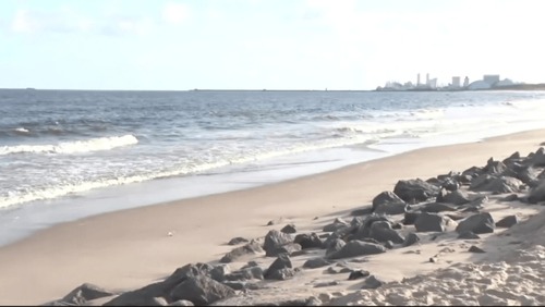 Adolescente morre após ser atacado por tubarão em praia de Olinda (PE)