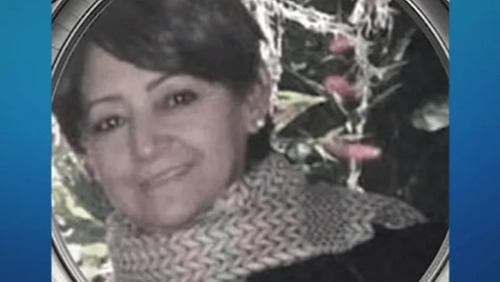 Filha mata a mãe após discussão por corte de cabelo da neta em Goiás