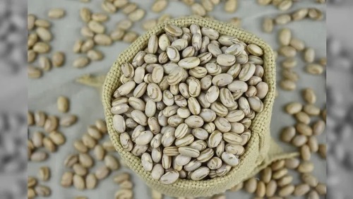 Preço do feijão carioca atinge recorde histórico no começo de fevereiro