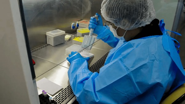 Ciência valida planta milenar como aliada contra a calvície; entenda