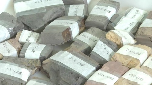 Fósseis de 400 milhões de anos são encontrados em obra no Paraná; veja