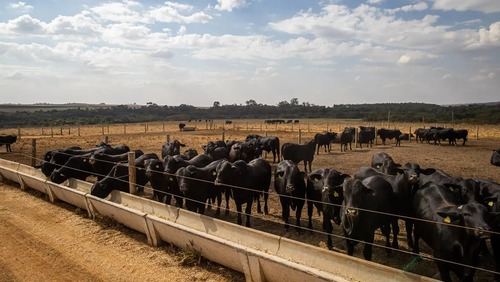 Atividade econômica brasileira cresce 2,5% em 2025