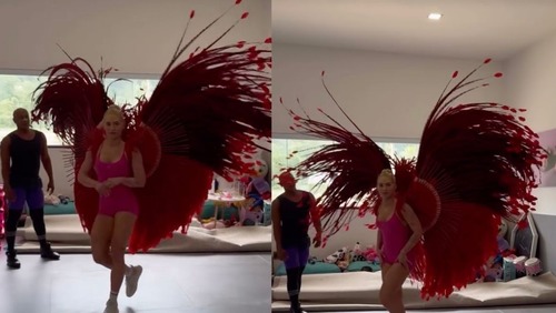 Virginia treinou com costeiro antes de abandoná-lo em desfile na Sapucaí