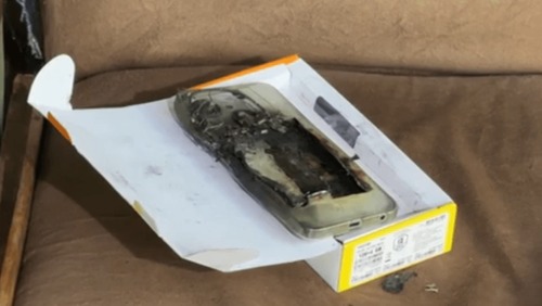 Celular explode em bolso de homem durante ataque de cães no Paraná