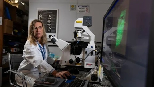Quem é Tatiana Sampaio, cientista que lidera pesquisa sobre polilaminina