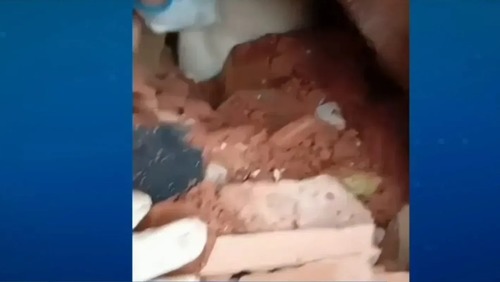 Bombeiros salvam cachorro soterrado em tragédia de MG; assista ao resgate
