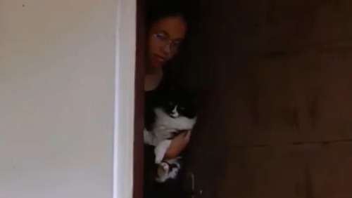 Gata é resgatada por idosa após chuvas em MG: "Não a deixaríamos sozinha"