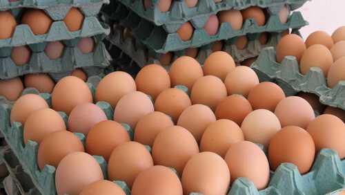 Preço do ovo sobe até 15% com alta demanda e oferta enxuta no Brasil