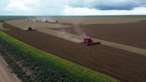 Escassez de diesel pode prejudicar colheitas de soja e milho no Brasil