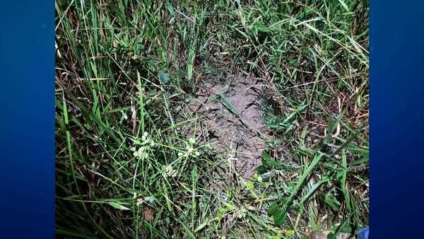 Pai que matou e enterrou filha de 7 meses é condenado a 21 anos de prisão