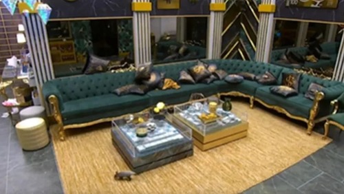 Gambá invade casa do BBB 26 e passeia pela sala; assista ao vídeo