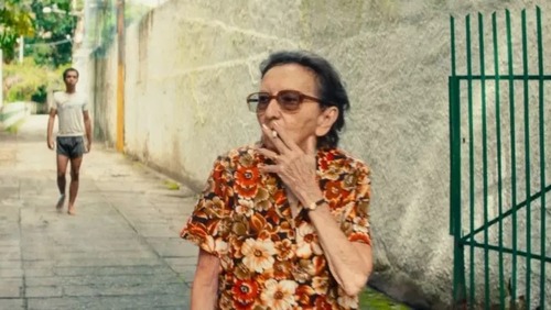 Tânia Maria diz que medo da guerra a fez desistir de ir ao oscar