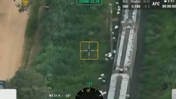 Vídeo: Criminosos saqueiam trens de carga em movimento em SP