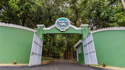 Bosque Zoológico Fábio Barreto e Parque Curupira são fechados temporariamente para manutenção após fortes chuvas