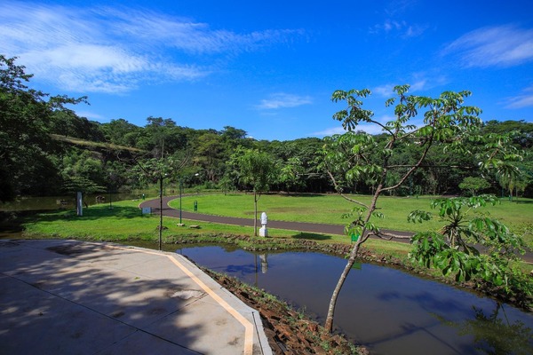Parque Curupira é reaberto após força-tarefa de limpeza