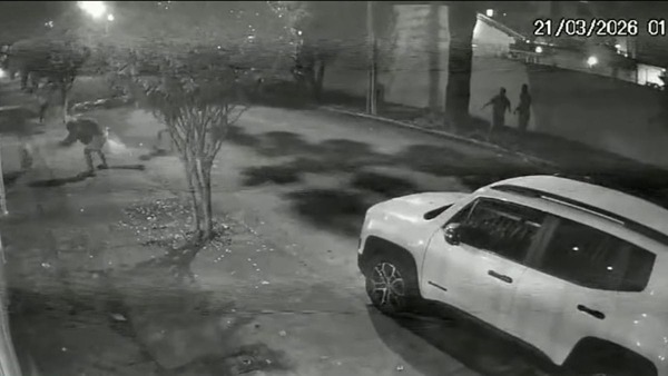 Homens são presos e menores são apreendidos por agredirem capivara no RJ