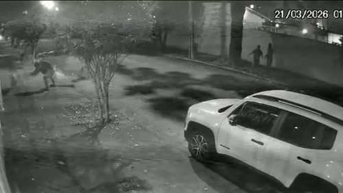 Homens são presos e menores são apreendidos por agredirem capivara no RJ