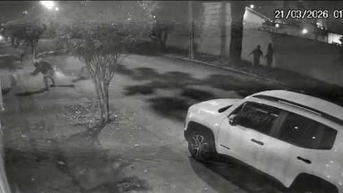 Justiça mantém prisões de seis suspeitos de espancar capivara no RJ