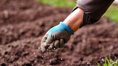 China suspende exportação de fertilizantes e preço para produtor sobe