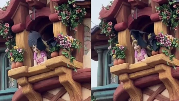 Corvos atacam ‘Rapunzel’ em parque da Disney no Japão e cena viraliza