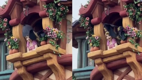Corvos atacam ‘Rapunzel’ em parque da Disney no Japão e cena viraliza