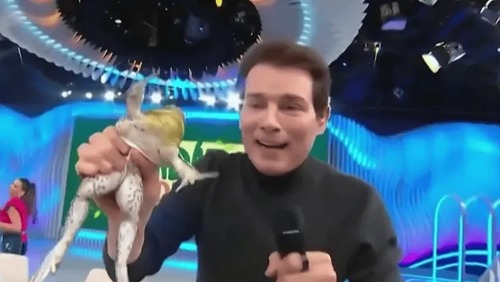 Celso Portiolli é alvo de denúncia por maus-tratos a animal no SBT