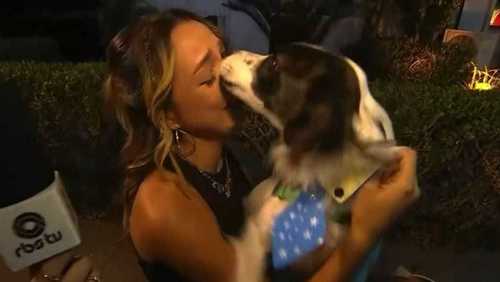 Samira, do BBB 26, se emociona ao reencontrar cachorro; assista