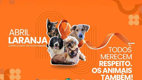 Prefeitura de Ribeirão Preto adere à campanha Abril Laranja